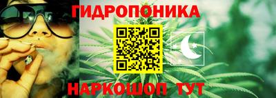 прущая мука Будённовск