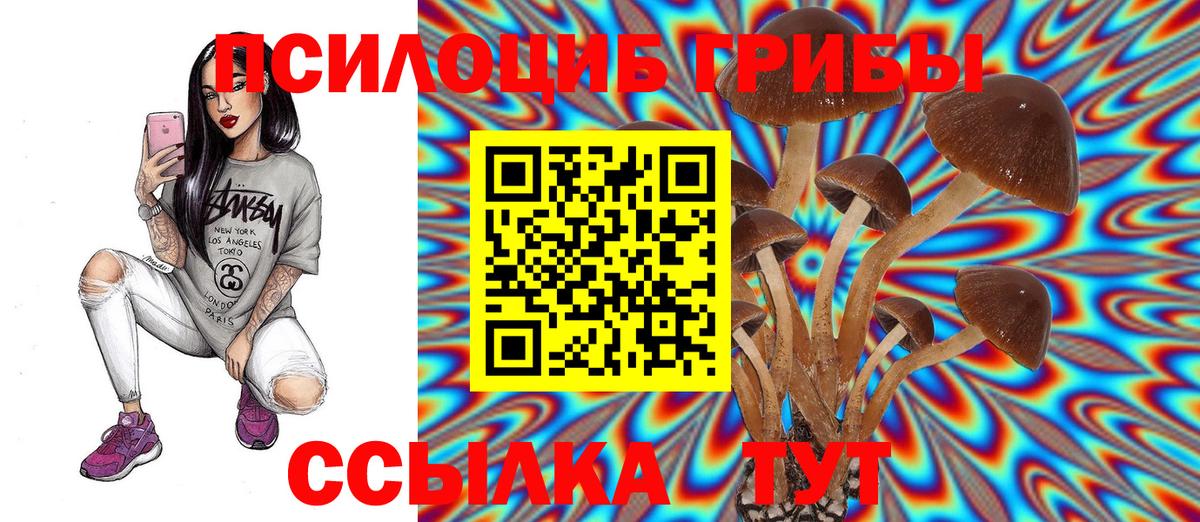 Галлюциногенные грибы Psilocybe Сатка