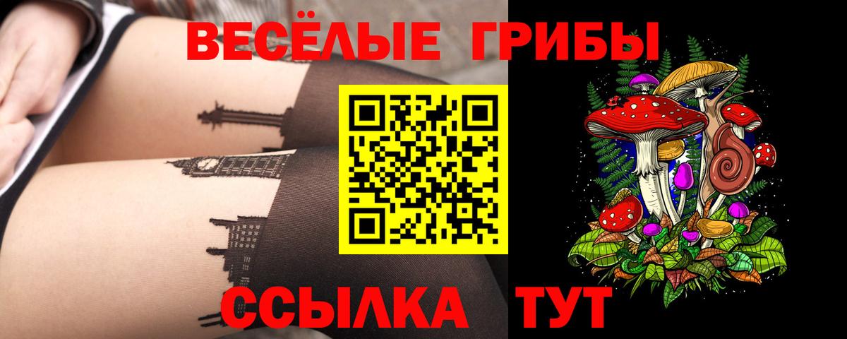 Сатка  магазин продажи   Вход с VPN  Псилоцибиновые грибы MAGIC MUSHROOMS 