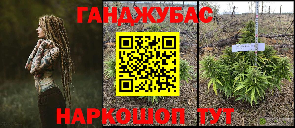 Шишки марихуана планчик Сатка